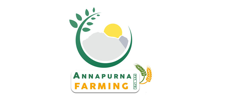 Portfolio Logo